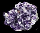 Amethyst Crystal Cluster - Uruguay #30547-1